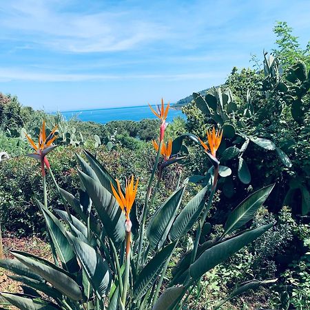 Case Dei Limoni Sul Mare Capoliveri  Buitenkant foto