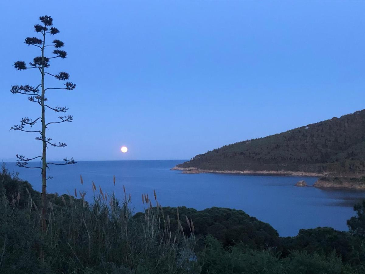 Case Dei Limoni Sul Mare Capoliveri  Buitenkant foto