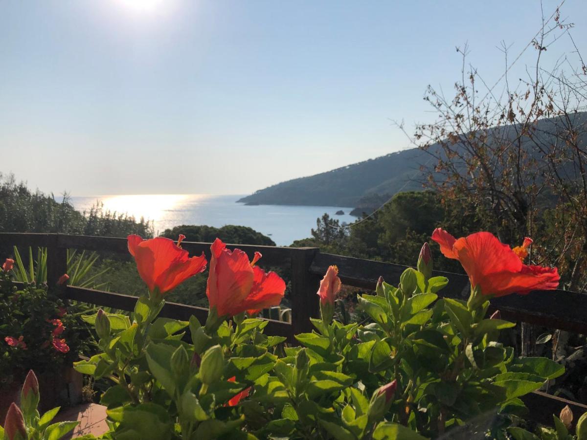 Case Dei Limoni Sul Mare Capoliveri  Buitenkant foto