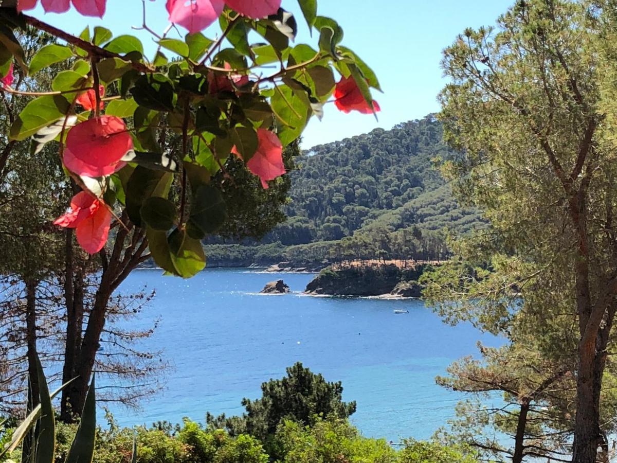 Case Dei Limoni Sul Mare Capoliveri  Buitenkant foto