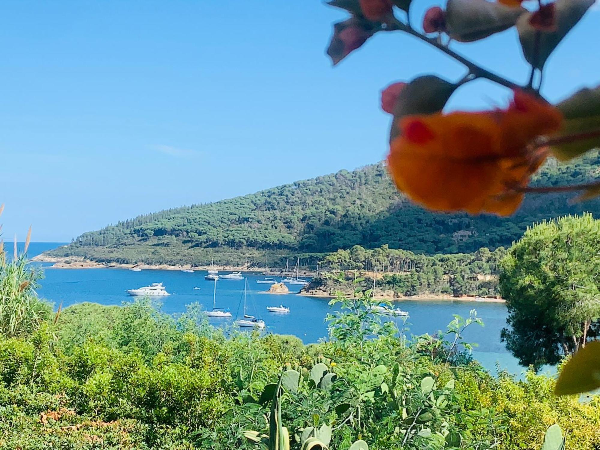 Case Dei Limoni Sul Mare Capoliveri  Buitenkant foto