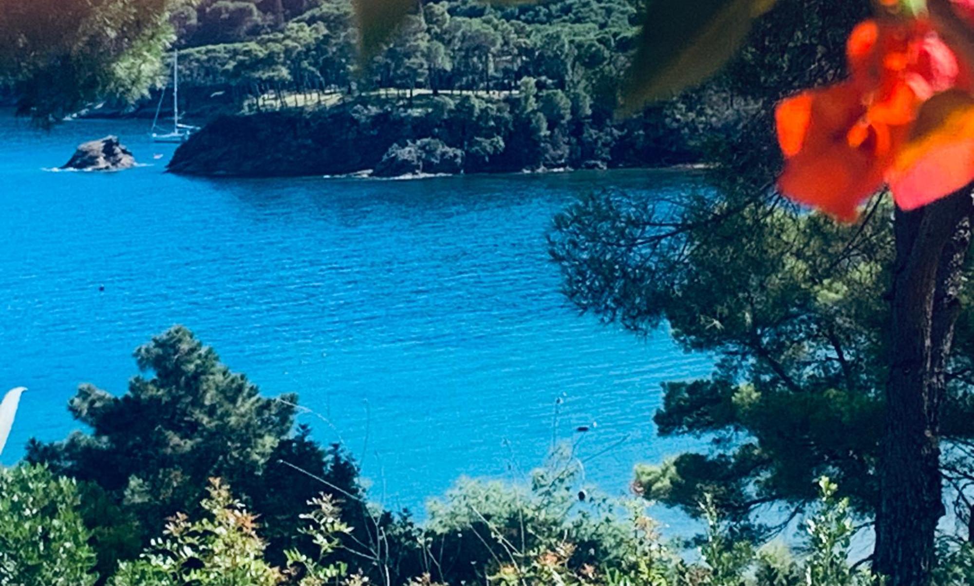Case Dei Limoni Sul Mare Capoliveri  Buitenkant foto
